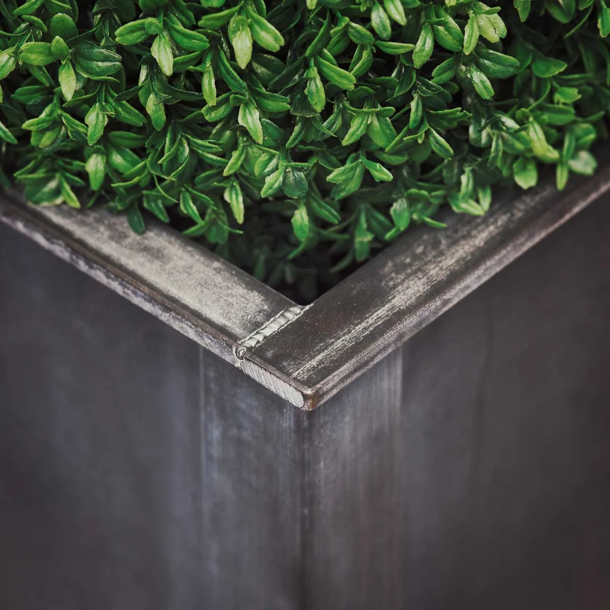 a close-up of an aged galvanized zinc metal planter