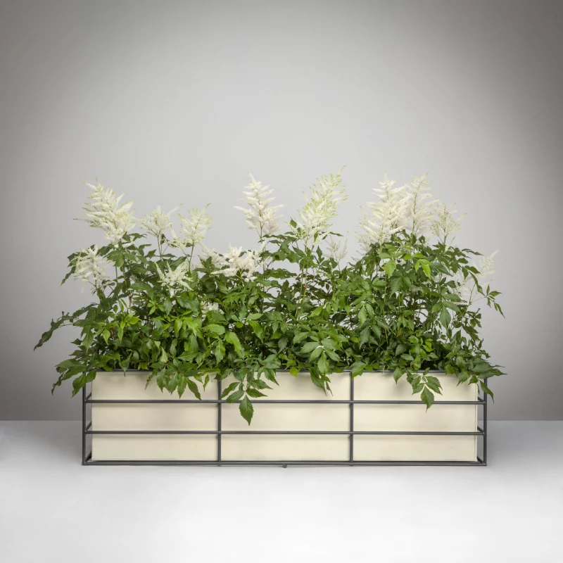 Contemporary Window Box with Planter