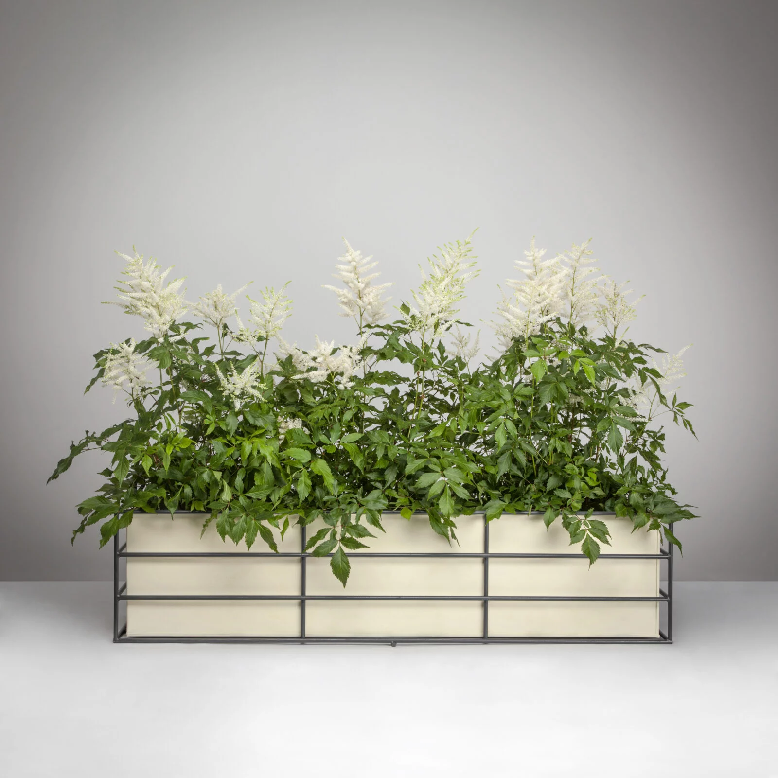Contemporary Window Box with Planter Contemporary Window Box with Planter