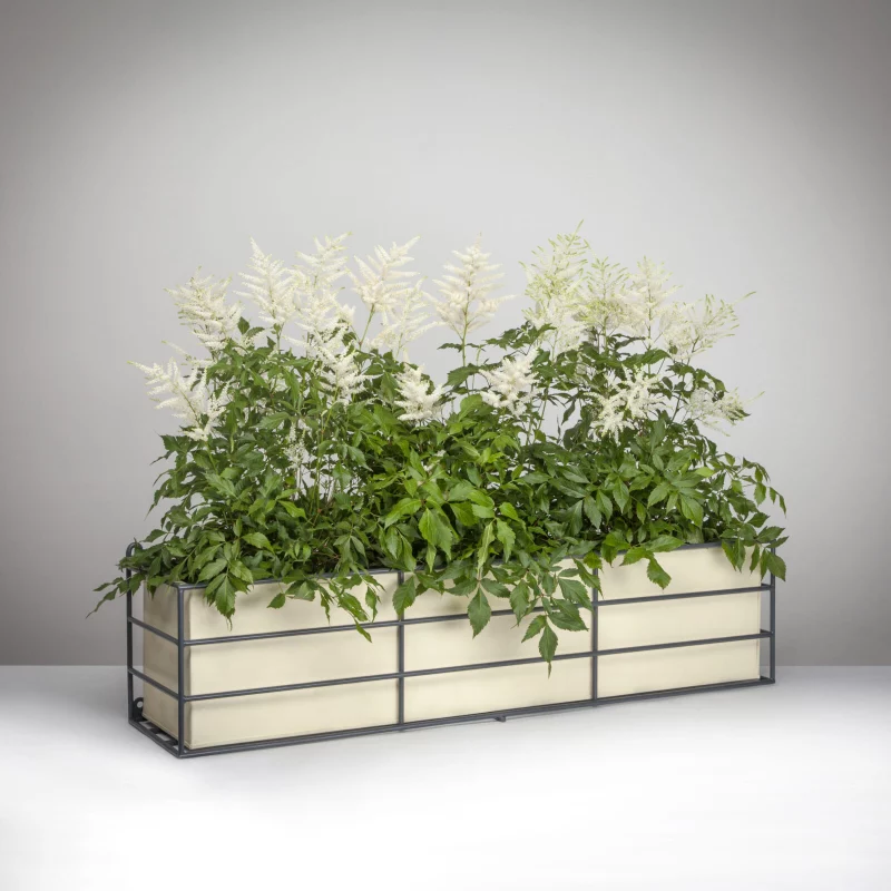 Contemporary Window Box