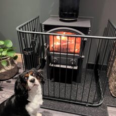 Bertie the dog sat next to a log burner with a contemporary bespoke fireguard