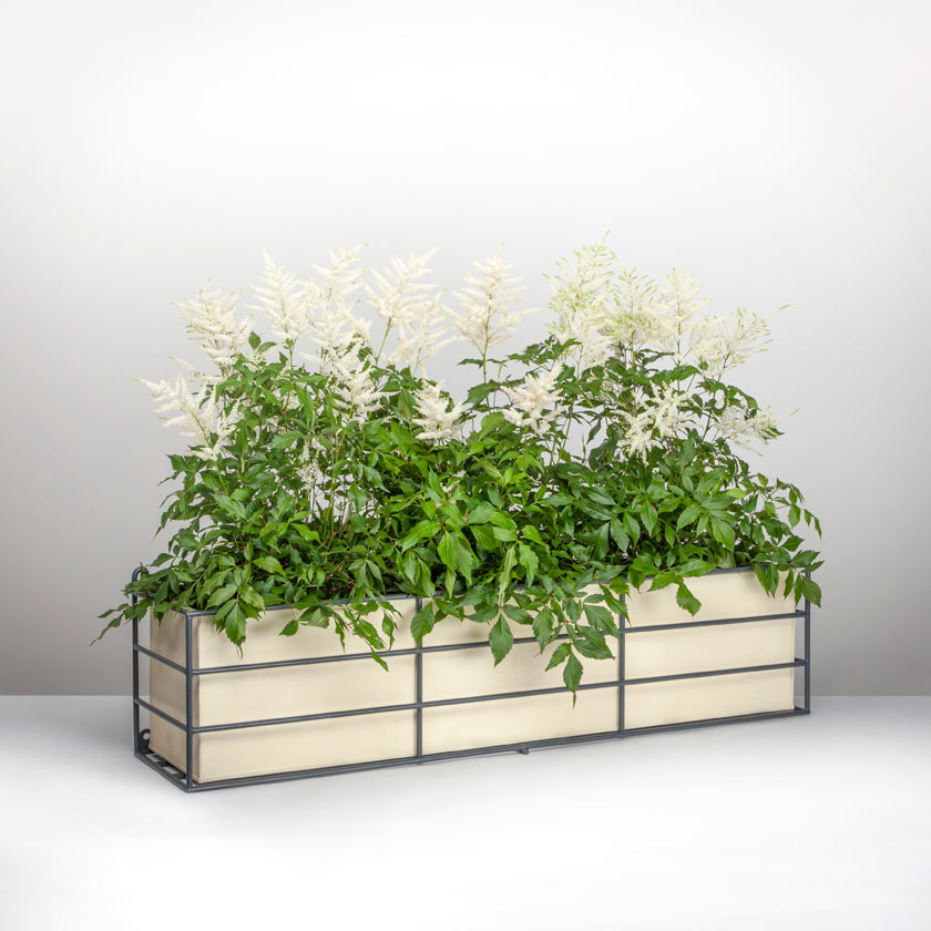 Contemporary window box with Astibe