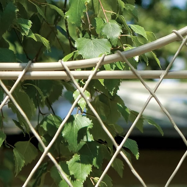 Diamond Trellis