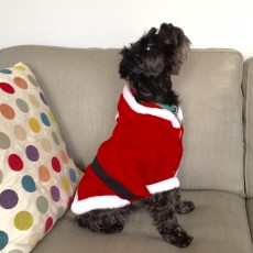 Christmas Holidays