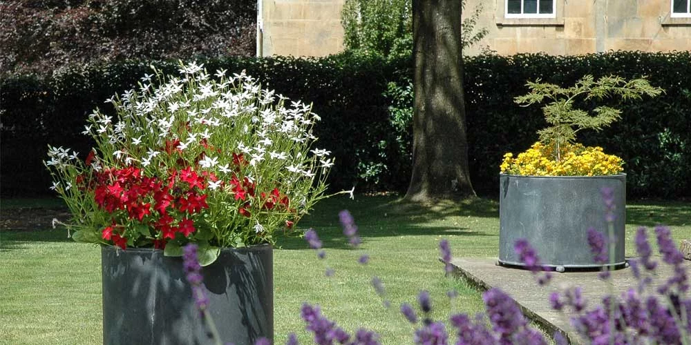 Galvanised-Zinc-Planters