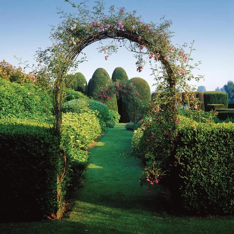 Garden Rose Arch