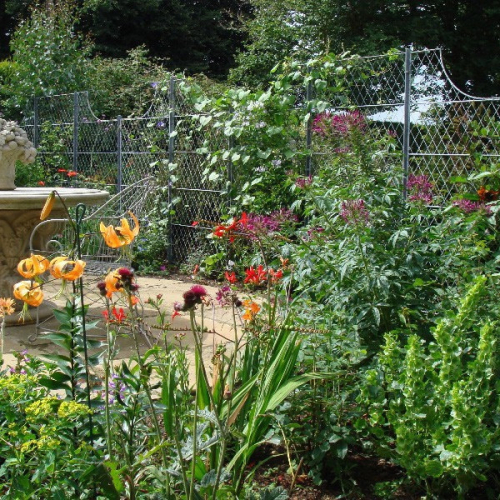 Trellis | Garden Requisites