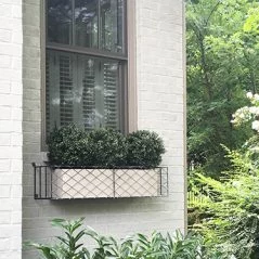 Iron window box