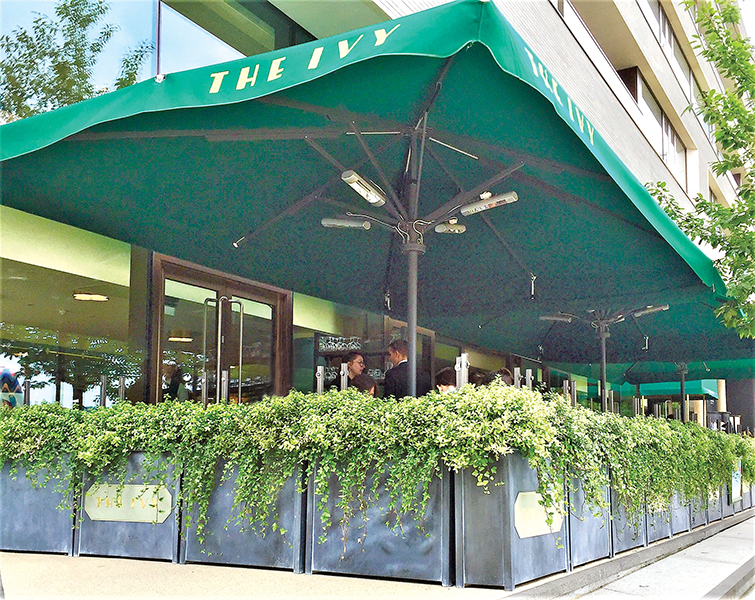 Terrace Planters for The Ivy’s Brasseries