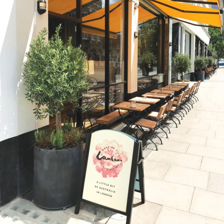An olive tree in a galvanized zinc planter outside Lantana restaurant in London