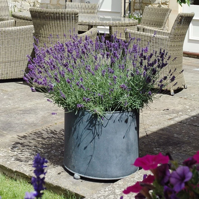 Large Metal Garden Planter