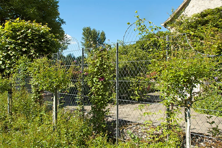 Lattice-trellis-panels-and-posts