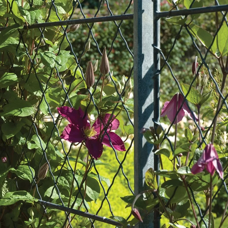 Metal Trellis Panels