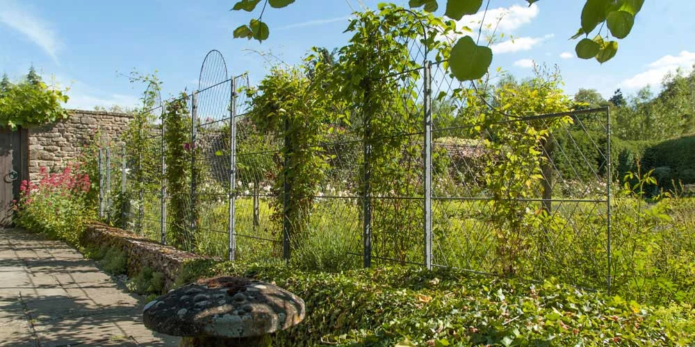 Metal-Trellis-Screening