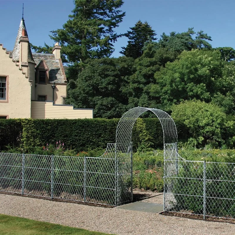 Metal Trellis and Arch