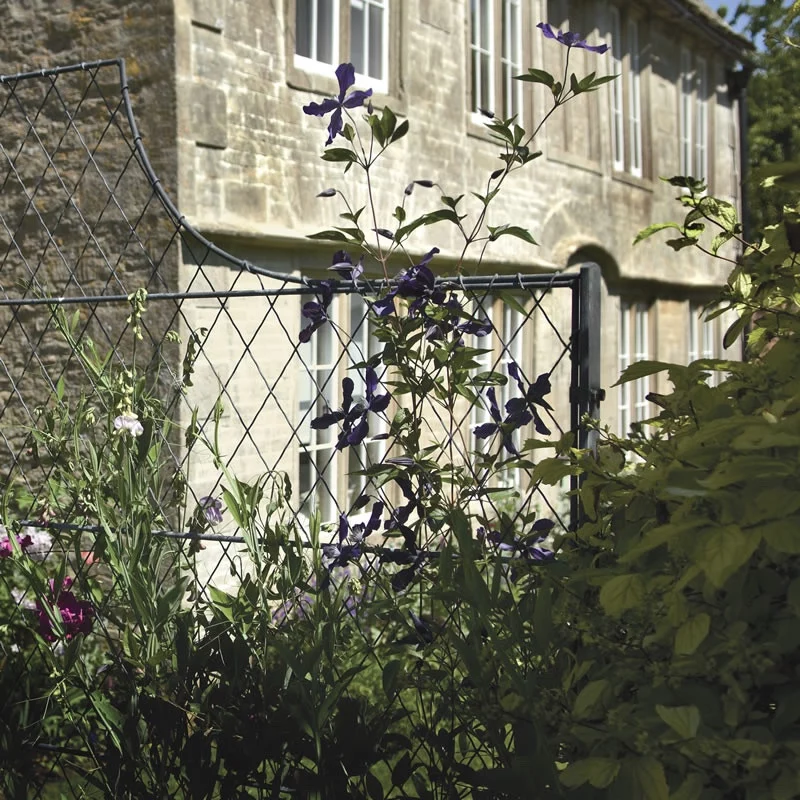 Metal Trellis
