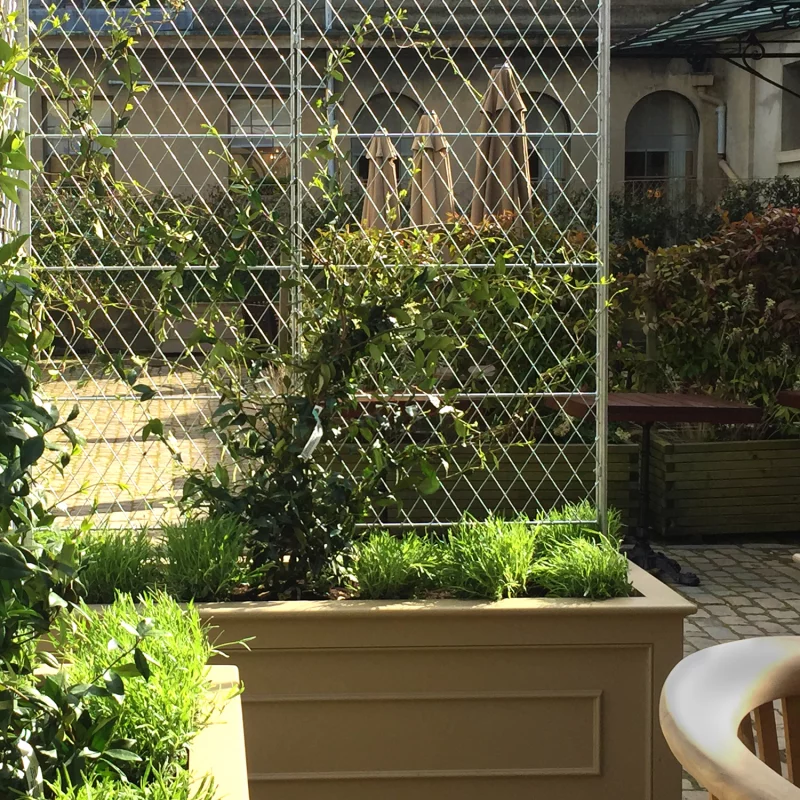 Metal trellis screening