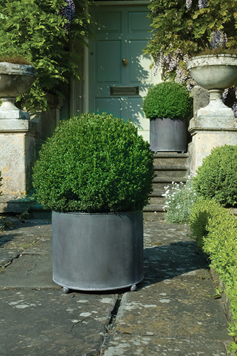 Create instant vibrancy with large metal garden planters 