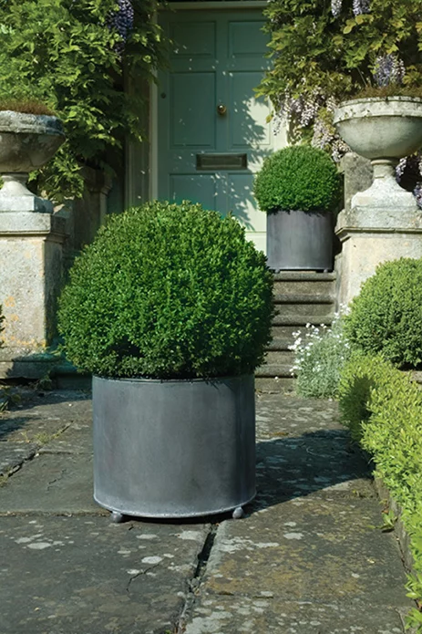 Metal Planter