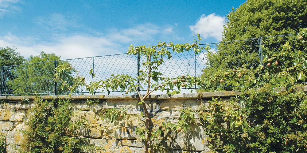 Privacy Wall Top Trellis