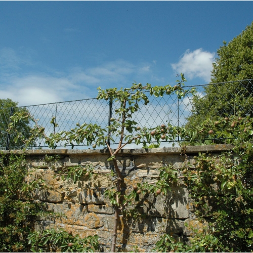 Privacy-Wall-Top-Trellis