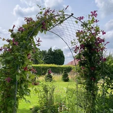 Roman wire work arch with climbing roses in a garden