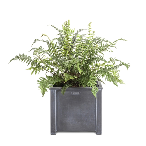 Garden Requisites - Steel Planters - Troughs