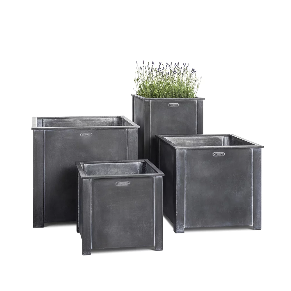 Steel planters with lavender