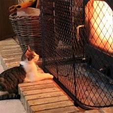 Decorative mesh fireguard in front of a stove in a fireplace and cat