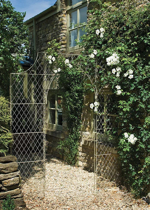 Trellis-screening