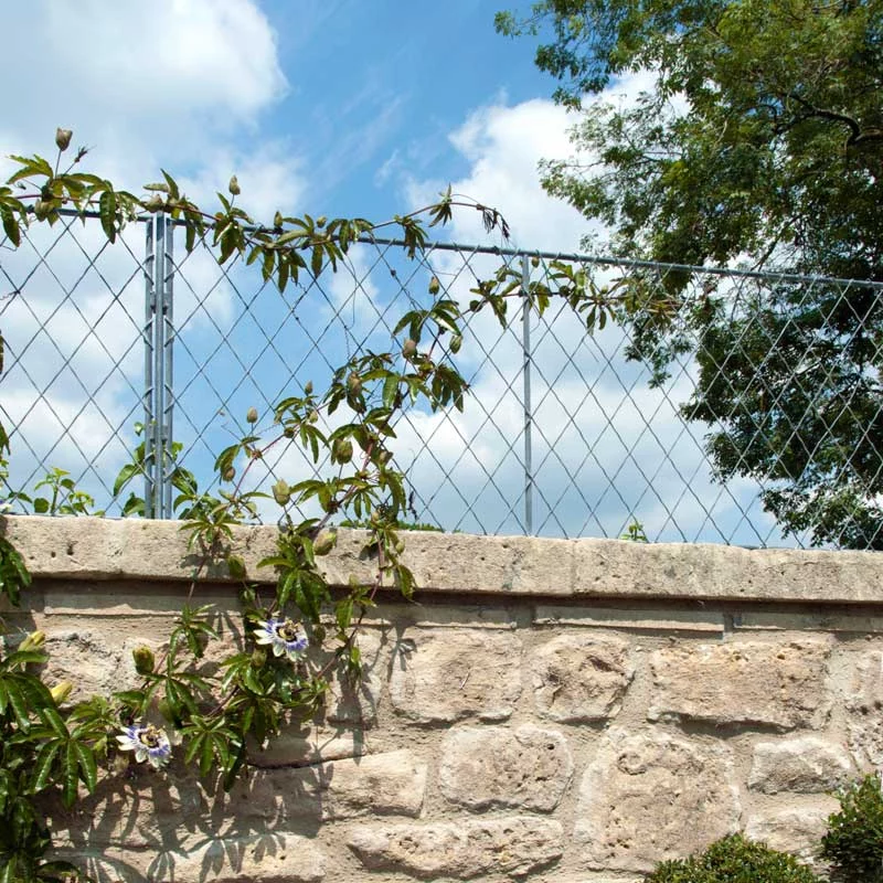 Wall-top-Straight-trellis-800 Wall top straight trellis
