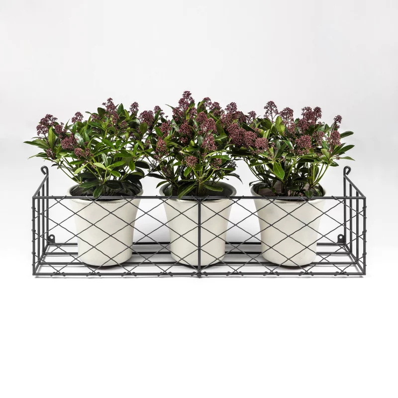 Window Box with Pots