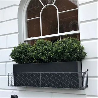 Wirework Window Box on a Georgian property in London