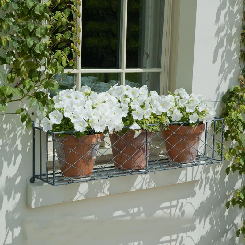 Wrought Iron Window Box and Pots