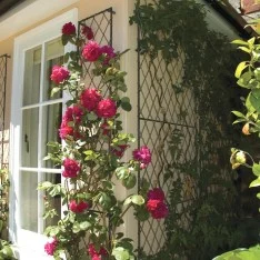 bespoke wall trellis