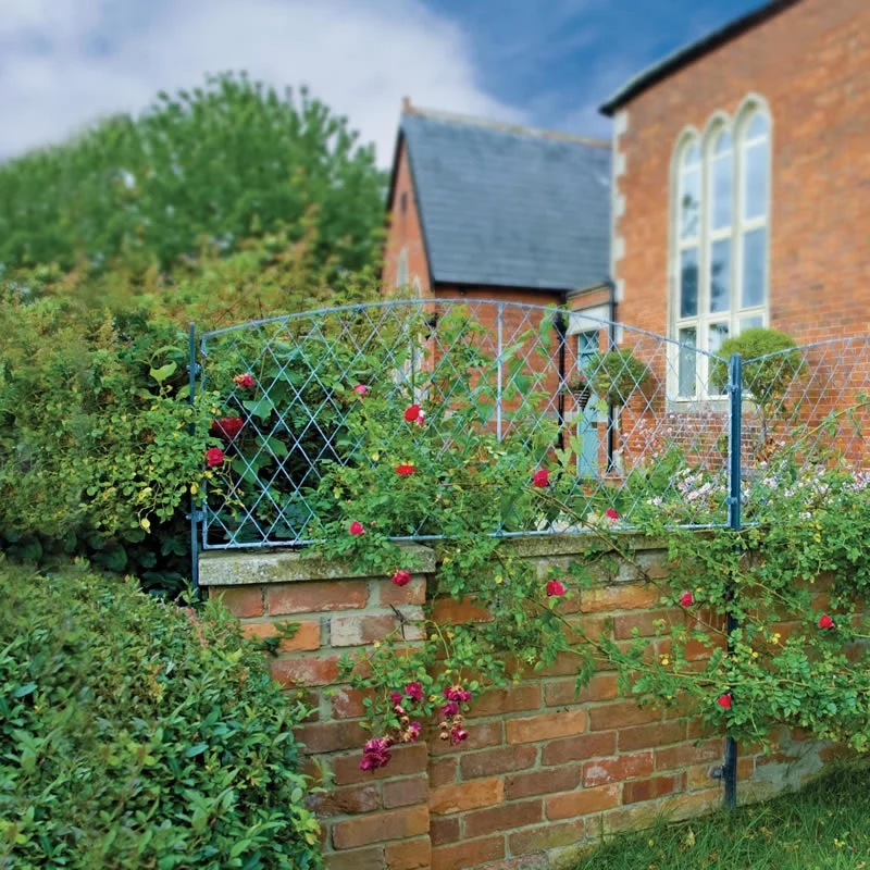 wall top trellis