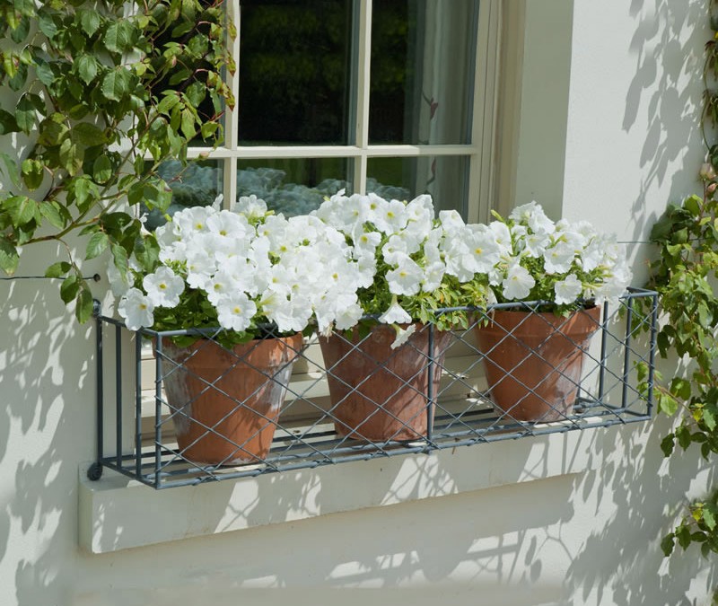 Inspiration for Summery Window Boxes