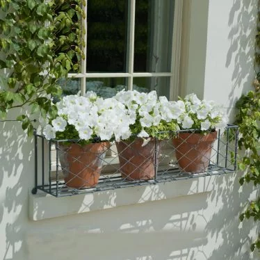 Grey window box