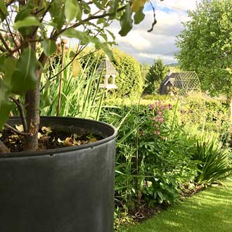 a large round garden planter in galvanised zinc metal planted with a large specimen tree