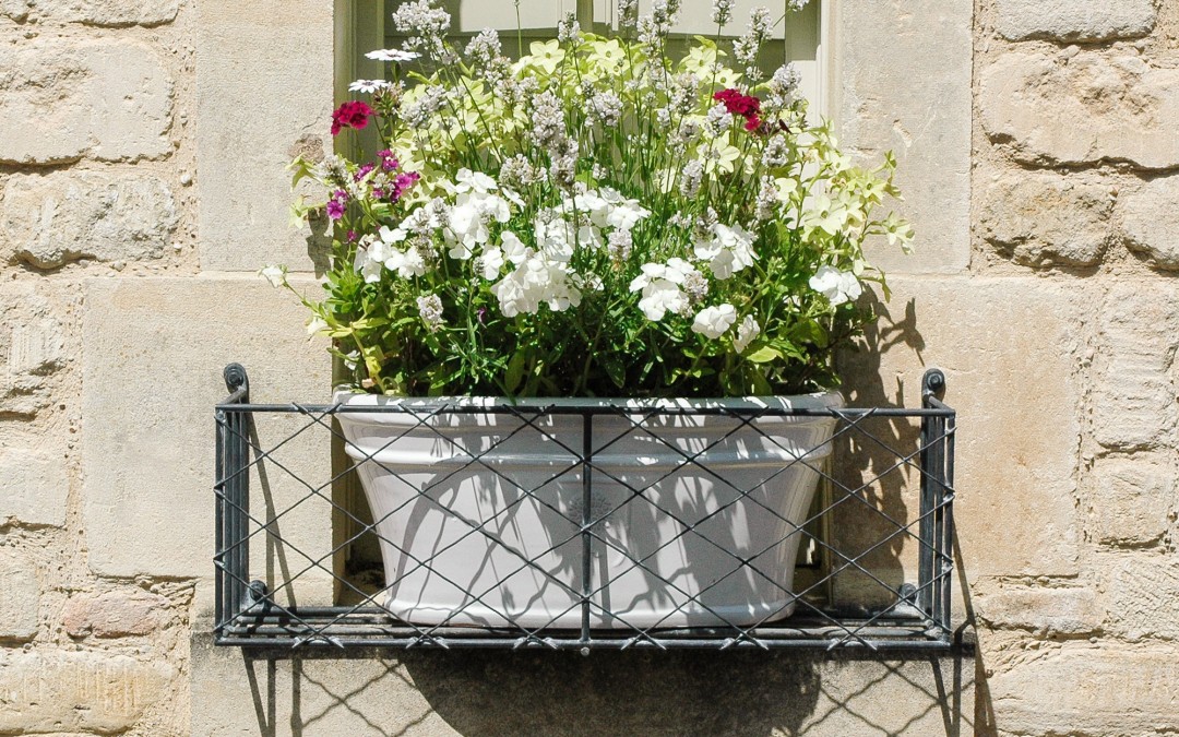 Window Boxes for Town and City