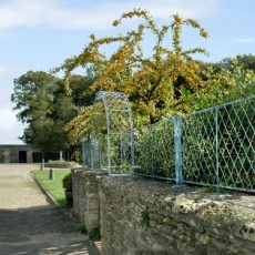 news garden arch and trellis season