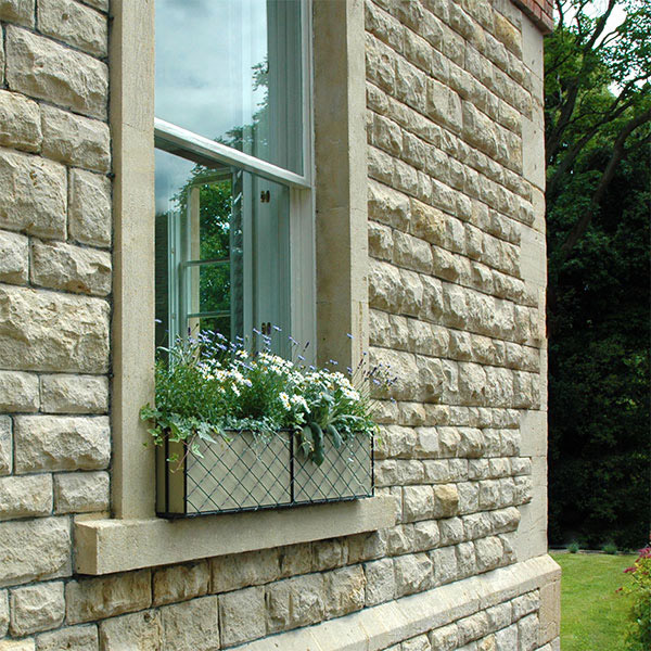 Bee friendly…